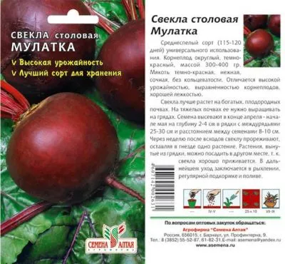 Свекла Мулатка (цветной пакет) 2г; Семена Алтая фото в интернет-магазине Флоранж
