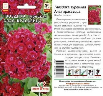 Гвоздика турецкая Алая Красавица (цветной пакет) 0,2г; Семена Алтая