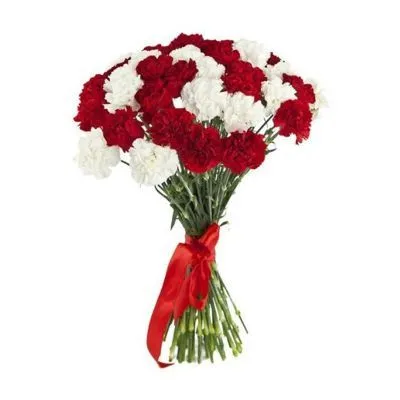 Гвоздика цветная фото в интернет-магазине Флоранж