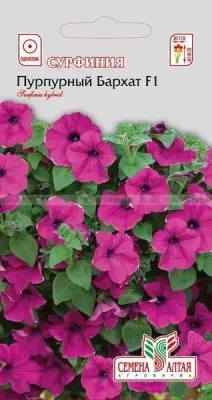 Сурфиния Пурпурный Бархат (цветной пакет) 5шт; Семена Алтая фото в интернет-магазине Флоранж