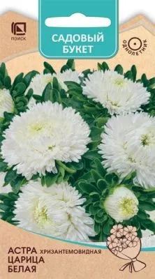 Астра хризантемовидная Царица Белая (цветной пакет) 0,1г; Поиск фото в интернет-магазине Флоранж
