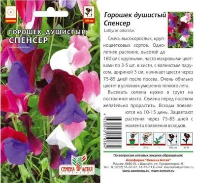 Душистый горошек Спенсер (цветной пакет) 0,5г; Семена Алтая фото в интернет-магазине Флоранж