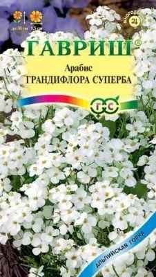 Арабис Грандифлора Суперба (цветной пакет) 0,05г; Гавриш фото в интернет-магазине Флоранж