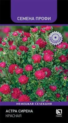 Астра Сирена Красная (Семена Профи)  (цветной пакет) 0,05г; Поиск фото в интернет-магазине Флоранж