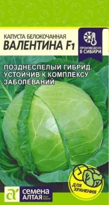 Капуста белокочанная Валентина (цветной пакет) 0,1г; Семена Алтая фото в интернет-магазине Флоранж