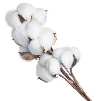 Набор хлопка на вставке 30-40см, 10шт в уп, белый