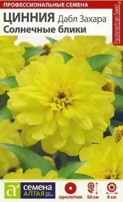 Цинния Дабл Захара Солнечные блики (цветной пакет) 6шт; Семена Алтая фото в интернет-магазине Флоранж