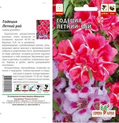 Годеция Летний Рай (цветной пакет) 0,2г; Семена Алтая фото в интернет-магазине Флоранж