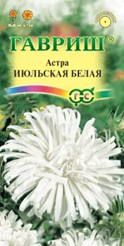 Астра Июльская белая (цветной пакет) 0,3г; Гавриш