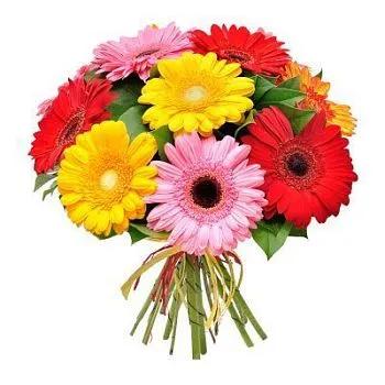 Гербера микс  фото вживую в руках, состав, цветовая гамма 