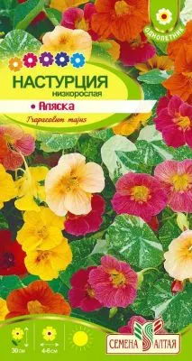 Настурция Аляска низкорослая (цветной пакет) 1г; Семена Алтая фото в интернет-магазине Флоранж