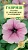 Петуния крупноцветковая Мороженое малиновое F1 (цветной пакет) 5шт; Гавриш