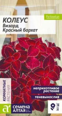 Колеус Визард Красный бархат (цветной пакет) 8шт; Семена Алтая фото в интернет-магазине Флоранж