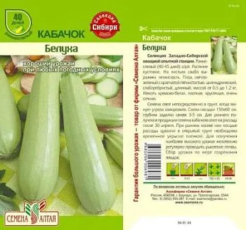 Кабачок Белуха (цветной пакет) 2г; Семена Алтая