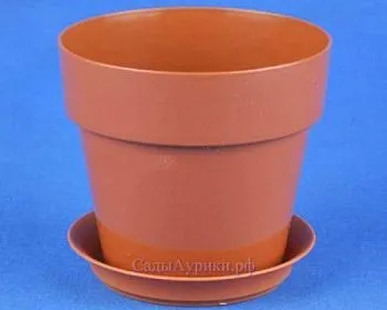 Горшок пластиковый Протея, терракотовый, 11,5х10см, 0,6/0,7л; Россия