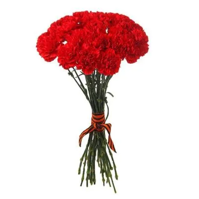 Гвоздика красная  фото в интернет-магазине Флоранж