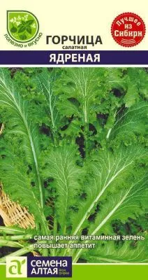 Горчица Ядреная (цветной пакет) 0,5г; Семена Алтая фото в интернет-магазине Флоранж