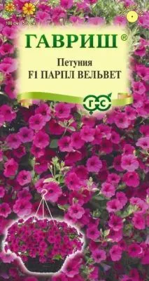 Петуния ампельная Парпл Вельвет (цветной пакет, пробирка) 4шт; Гавриш фото в интернет-магазине Флоранж