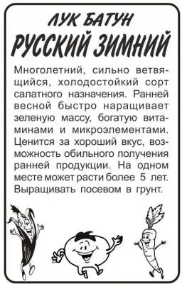 Лук батун Русский Зимний (белый пакет) 0,5г; Семена Алтая фото в интернет-магазине Флоранж