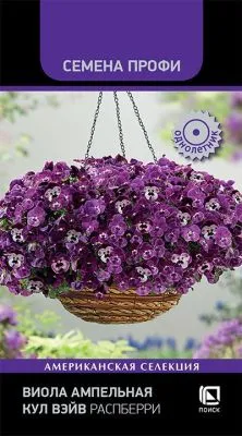 Виола ампельная Кул Вэйв Распберри (цветной пакет) 5шт; Поиск фото в интернет-магазине Флоранж