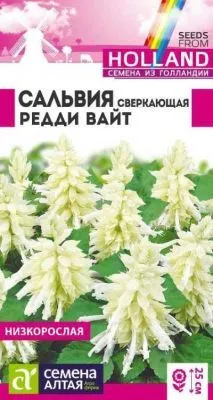 Сальвия Редди Вайт сверкающая (цветной пакет) 5шт; Семена Алтая фото в интернет-магазине Флоранж