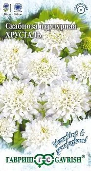 Скабиоза Хрустальная пурпурная махр (цветной пакет) 0,2г; Гавриш