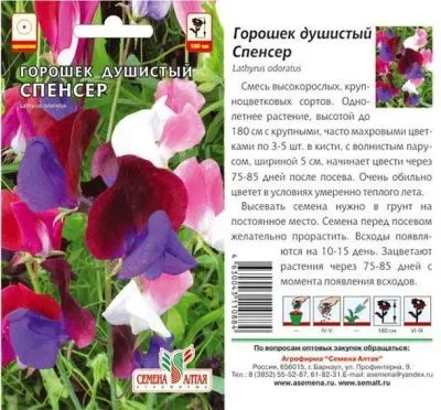 Душистый горошек Спенсер (цветной пакет) 0,5г; Семена Алтая фото в интернет-магазине Флоранж