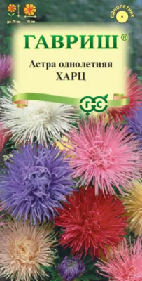 Астра Харц, тонкоигольчатая смесь (цветной пакет) 0,3г; Гавриш фото в интернет-магазине Флоранж