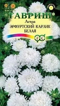 Астра Эрфуртский карлик Белая (цветной пакет) 0,3г; Гавриш