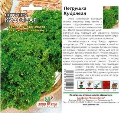 Петрушка кудрявая Кучерявец (цветной пакет) 1г; Семена Алтая фото в интернет-магазине Флоранж
