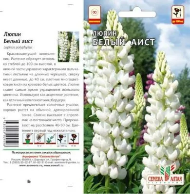 Люпин многолетний Белый аист (цветной пакет) 0,3г; Семена Алтая фото в интернет-магазине Флоранж