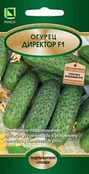 Огурец Директор F1 (цветной пакет) 5шт; Поиск