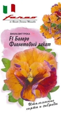 Виола витрокка Болеро Фиолетовый закат F1, (цветной пакет) 10шт; Гавриш фото в интернет-магазине Флоранж