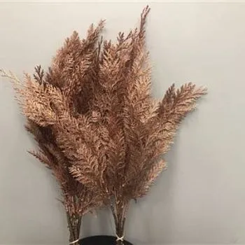 кониферен крашеный Медь фото вживую в руках, состав, цветовая гамма 