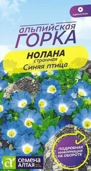 Нолана Синяя птица странная (цветной пакет) 0,3г; Семена Алтая