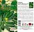 Огурец Братец Иванушка (цветной пакет) 0,3г; Семена Алтая