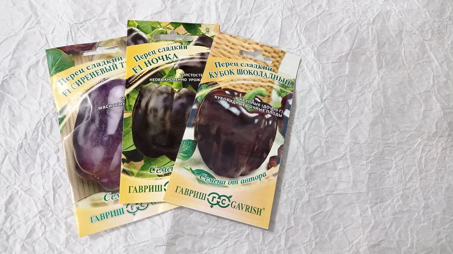 Сезон открыт!