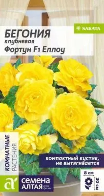 Бегония клубневая Фортуна F1 Еллоу (цветной пакет) 5шт; Семена Алтая фото в интернет-магазине Флоранж