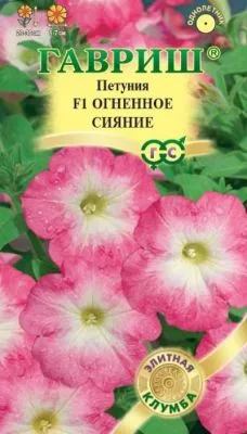 Петуния многоцветковая Огненное сияние F1 (цветной пакет, пробирка) 5шт; Гавриш фото в интернет-магазине Флоранж
