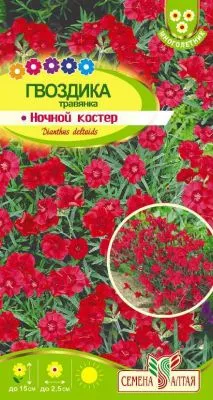 Гвоздика травянка Ночной Костер (цветной пакет) 0,05г; Семена Алтая фото в интернет-магазине Флоранж