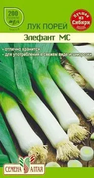 Лук Порей Элефант МС(цветной пакет) 1г; Семена Алтая