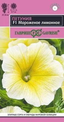 Петуния многоцветковая Мороженое Лимонное (цветной пакет) 5шт; Гавриш фото в интернет-магазине Флоранж