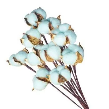 Набор хлопка на вставке 30-40см, 10шт в уп, голубой