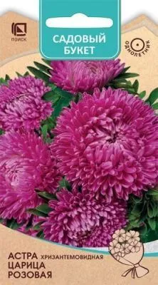 Астра хризантемовидная Царица Розовая (цветной пакет) 0,1г; Поиск фото в интернет-магазине Флоранж