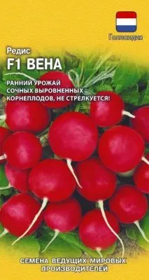 Редис Вена F1 (цветной пакет) 0,5г; Гавриш фото в интернет-магазине Флоранж