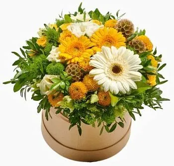 Цветы в коробке Свежесть , состав Гербера Хризантема кустовая Эустома, цвет букета Желтый, подходит Маме Учителю