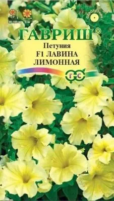 Петуния ампельная Лавина Лимонная  F1 (цветной пакет) 7шт; Гавриш фото в интернет-магазине Флоранж