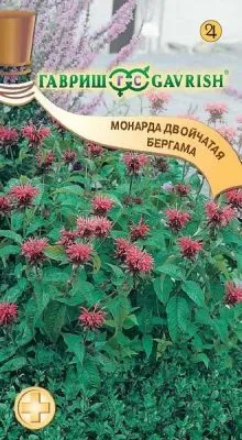Монарда двойчатая Бергама (цветной пакет) 0,05г; Гавриш фото в интернет-магазине Флоранж
