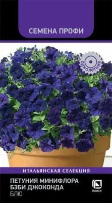Петуния минифлора Бэби Джоконда Блю (цветной пакет) 10шт; Поиск фото в интернет-магазине Флоранж