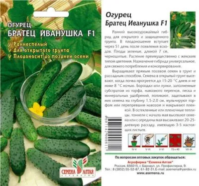 Огурец Братец Иванушка (цветной пакет) 0,3г; Семена Алтая фото в интернет-магазине Флоранж